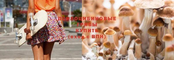 2c-b Протвино