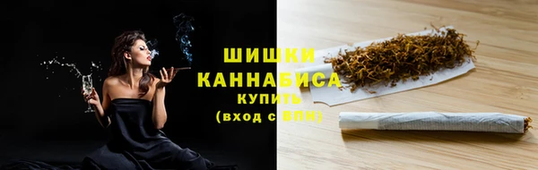 индика Пролетарск