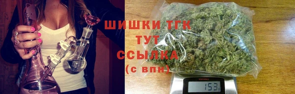 индика Пролетарск