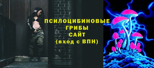 индика Пролетарск